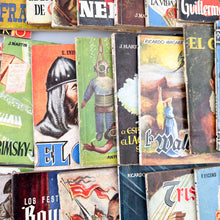 Load image into Gallery viewer, Lote de 33 libros de la Enciclopedia Pulga.