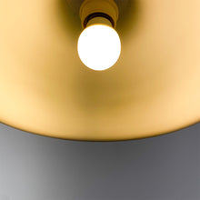 Laden Sie das Bild in den Galerie-Viewer, Lámpara de techo de plástico acrílico, 1970's