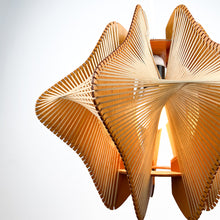 Load image into Gallery viewer, Wood and raffia ceiling lamp, 1980s  
