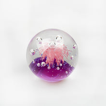 이미지를 갤러리 뷰어에 로드 , Pisapapeles de cristal soplado, 1970's
