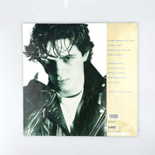 画像をギャラリービューアに読み込む, LP. Alejandro Sanz. Viviendo Deprisa
