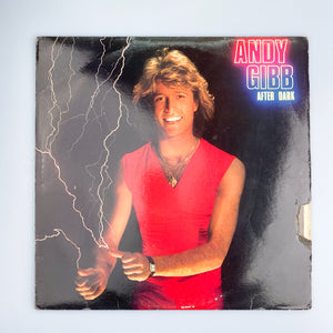 LP. Andy Gibb. After Dark