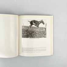 画像をギャラリービューアに読み込む, Eduardo Blanco Amor, Fotografo.
