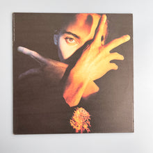 Load image into Gallery viewer, LP. Terence Trent D&#39;Arby. Terence Trent D&#39;Arby&#39;s Neither Fish Nor Flesh.
