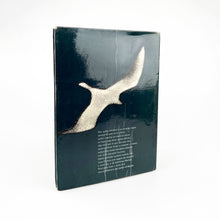 Laden Sie das Bild in den Galerie-Viewer, Juan Salvador Gaviota, un relato Richard Bach
