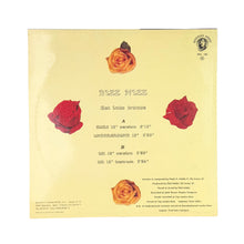 Load image into Gallery viewer, MAXI LP. Bizz Nizz. Get Into Trance
