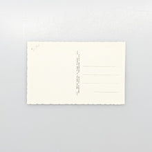 Load image into Gallery viewer, Postal 3416 Lourdes, Le Chateau-Fort Musée Pyrénéen, Salle de la Faune Pyrénéenne
