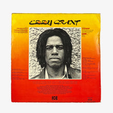 Cargar imagen en el visor de la galería, LP. Eddy Grant. Caminando sobre el sol
