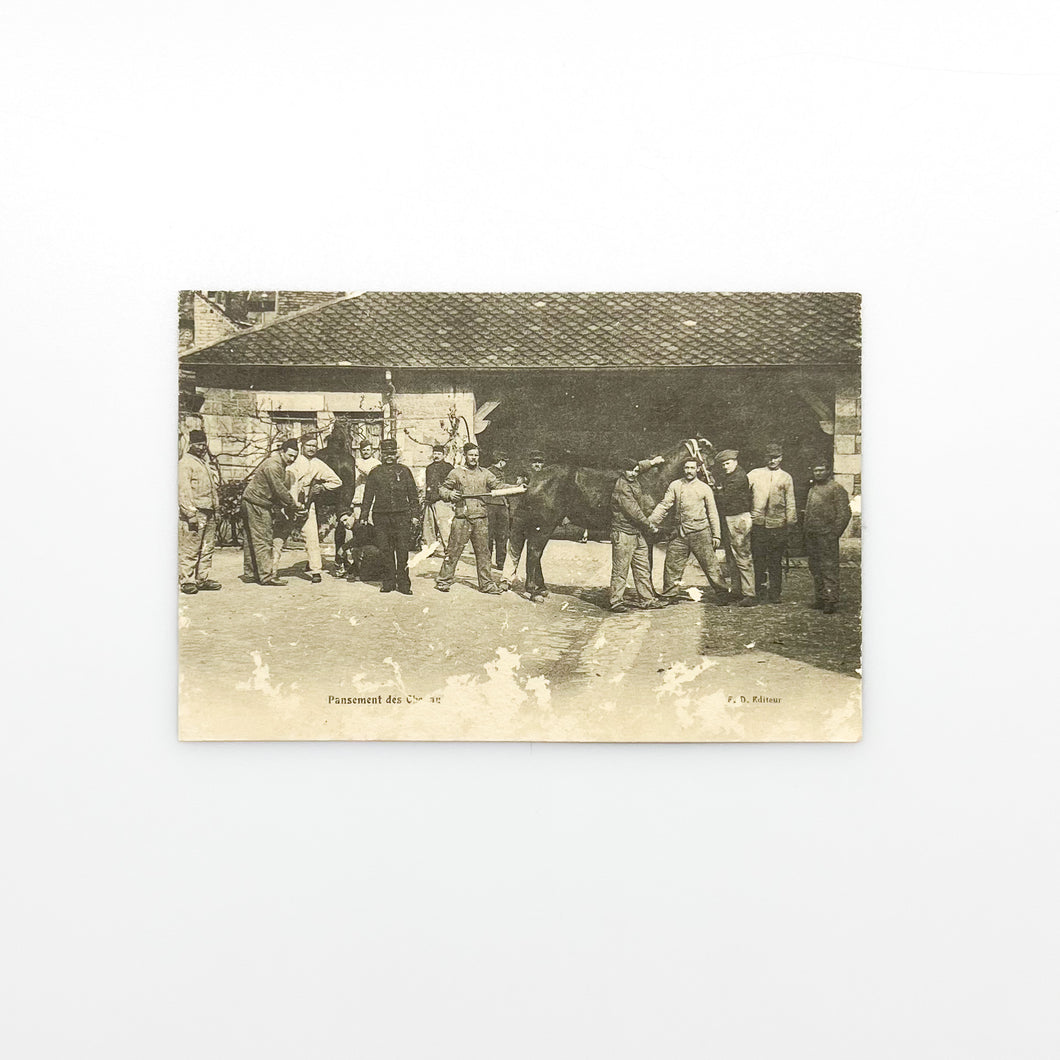 Posta Pansement des...