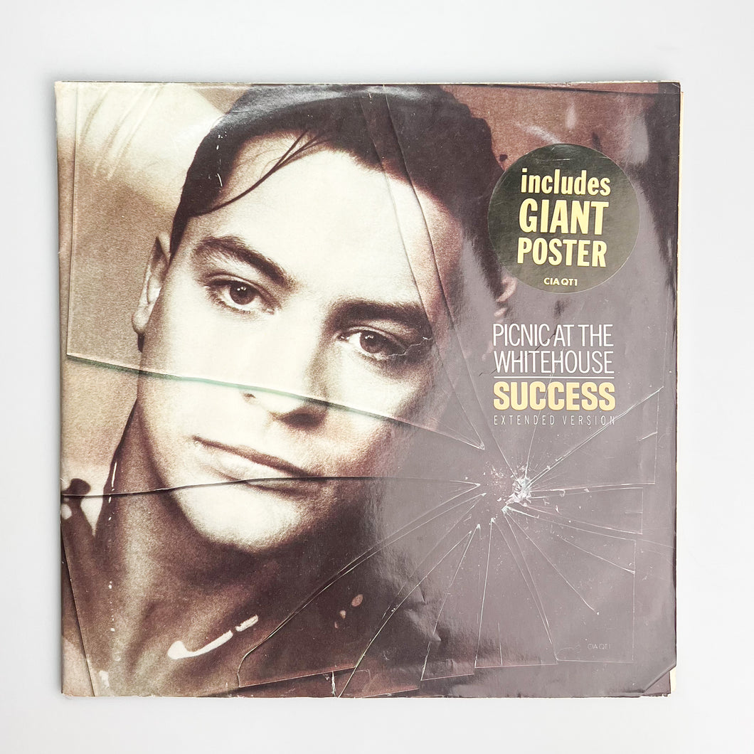 MAXI LP. Picnic At The Whitehouse. Success (Extended Version)