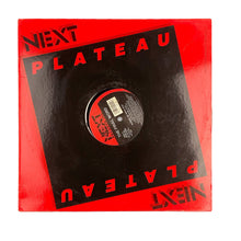Cargar imagen en el visor de la galería, MAXI LP. The Final Word. Wanna Be With You

