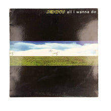 Cargar imagen en el visor de la galería, MAXI LP. Jenny. All I Wanna Do
