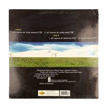 Cargar imagen en el visor de la galería, MAXI LP. Jenny. All I Wanna Do
