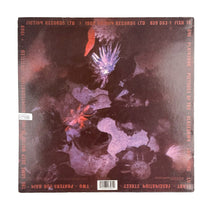 Cargar imagen en el visor de la galería, LP. The Cure. Disintegration

