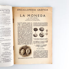 Load image into Gallery viewer, Enciclopedia Gráfica La Moneda por José Amorós
