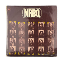 Cargar imagen en el visor de la galería, LP. NRBQ. NRBQ
