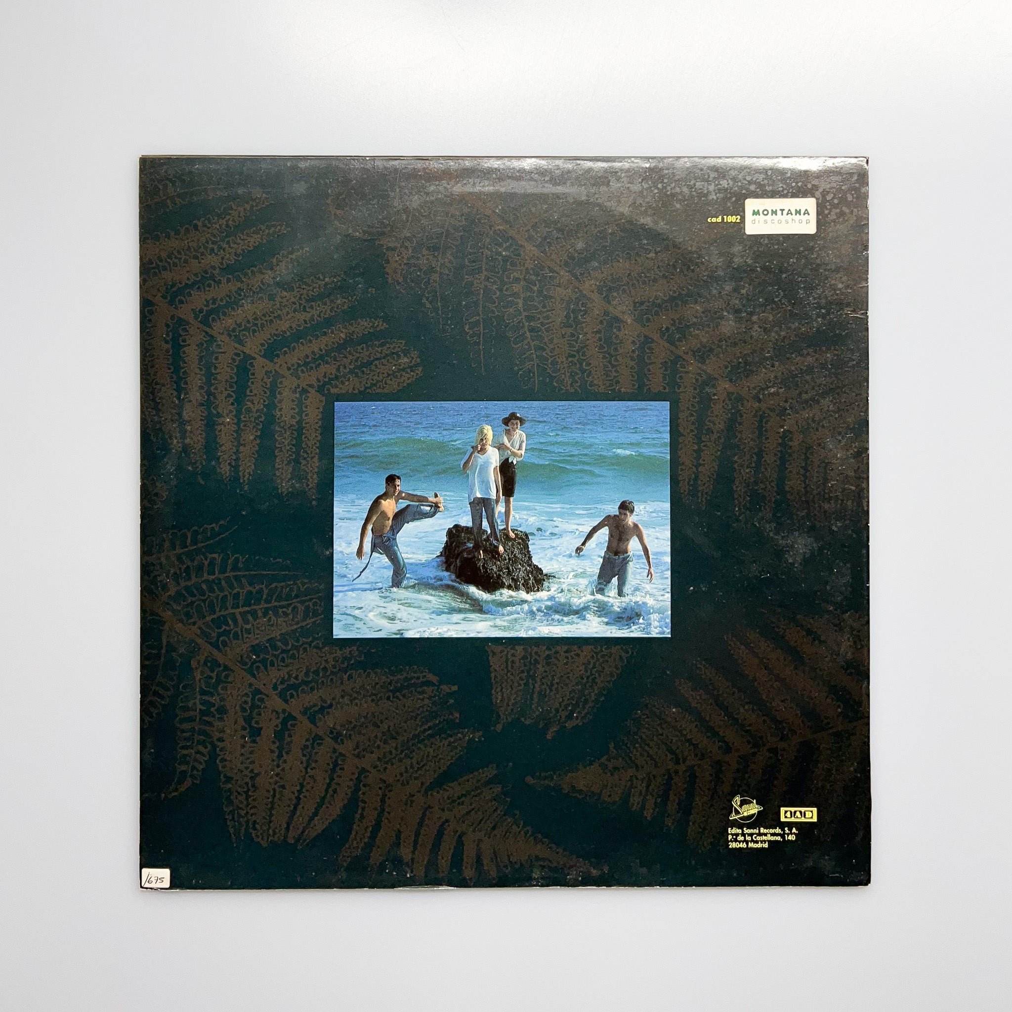 LP. Throwing Muses. The Real Ramona – falsotecho