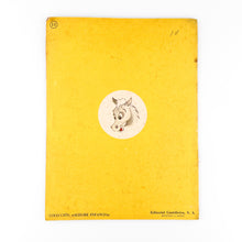 Load image into Gallery viewer, Alegres Historietas del Oeste. Colección Alegre Infancia. Nº 11
