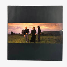 Cargar imagen en el visor de la galería, LP. Bee Gees. E·S·P

