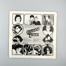Cargar imagen en el visor de la galería, LP. Varios. Grandes Exitos
