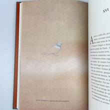 Cargar imagen en el visor de la galería, O Libro das Viaxes Imaxinarias, Xabier P. Docampo
