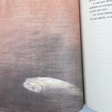 Cargar imagen en el visor de la galería, O Libro das Viaxes Imaxinarias, Xabier P. Docampo
