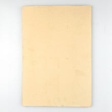 Load image into Gallery viewer, Nos Por Castelao, Akal Editor.
