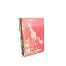 画像をギャラリービューアに読み込む, Atlas de Anatomia Animal, V. Muedra, S.J.
