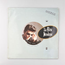 이미지를 갤러리 뷰어에 로드 , MAXI LP. The Blow Monkeys. Digging Your Scene
