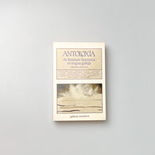 画像をギャラリービューアに読み込む, Antología da literatura fantástica en lingua galega. Anton Risco
