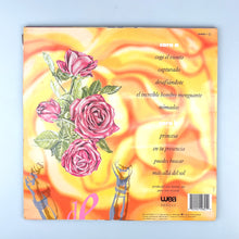 Cargar imagen en el visor de la galería, LP. La Dama se esconde, Coge el viento
