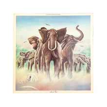 Cargar imagen en el visor de la galería, LP. Elvis Costello &amp; The Attractions. Armed Forces
