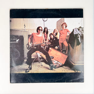 LP. The Flamin' Groovies. Teenage Head