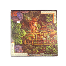 画像をギャラリービューアに読み込む, LP, Gat. Spyro Gyra. Catching The Sun
