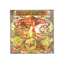 画像をギャラリービューアに読み込む, LP. Spyro Gyra.  Morning Dance
