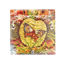 画像をギャラリービューアに読み込む, LP. Spyro Gyra.  Morning Dance
