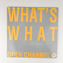 画像をギャラリービューアに読み込む, LP. What&#39;s What. Open Channel D
