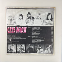 이미지를 갤러리 뷰어에 로드 , LP. The Cats. Aglow
