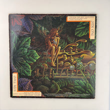 Laden Sie das Bild in den Galerie-Viewer, LP, Gat. Spyro Gyra. Catching The Sun
