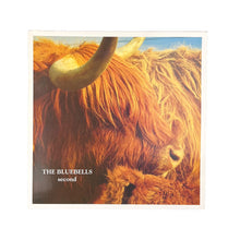 이미지를 갤러리 뷰어에 로드 , LP. The Bluebells. Second
