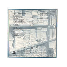 Cargar imagen en el visor de la galería, LP. The Blue Aeroplanes. The Janice Long Session
