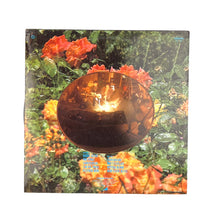 Cargar imagen en el visor de la galería, LP. Nikki Sudden &amp; Rowland S. Howard. Kiss You Kidnapped Charabanc
