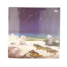 Cargar imagen en el visor de la galería, 2xLP. Yes. Tales From Topographic Oceans
