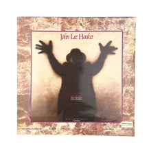 Load image into Gallery viewer, LP. John Lee Hooker. The Healer
