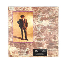 Load image into Gallery viewer, LP. John Lee Hooker. The Healer
