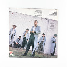Cargar imagen en el visor de la galería, LP. The Pogues. Red Roses For Me
