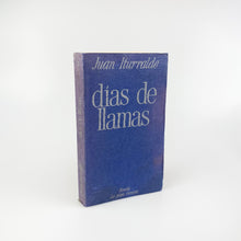 画像をギャラリービューアに読み込む, Juan Iturralde. Días de Llamas.
