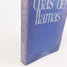 画像をギャラリービューアに読み込む, Juan Iturralde. Días de Llamas.

