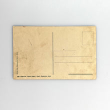 이미지를 갤러리 뷰어에 로드 , Postal Messina dopo il terremoto del 28 diciembre 1908, Via Solferino - Rovine 631
