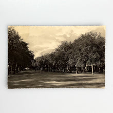 Cargar imagen en el visor de la galería, Postal 30 Málaga, Plaza Canovas - Parque
